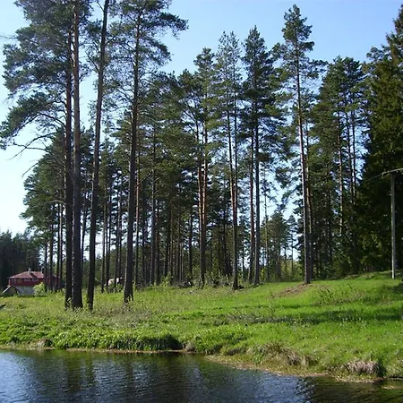 Artur's Eaterie And Holiday Viitna