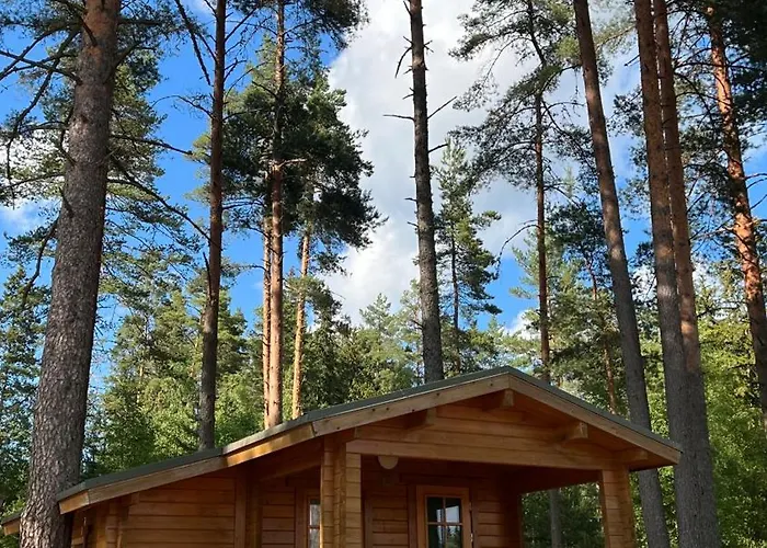 Artur's Eaterie And Holiday home Viitna