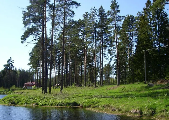 Artur's Eaterie And Viitna